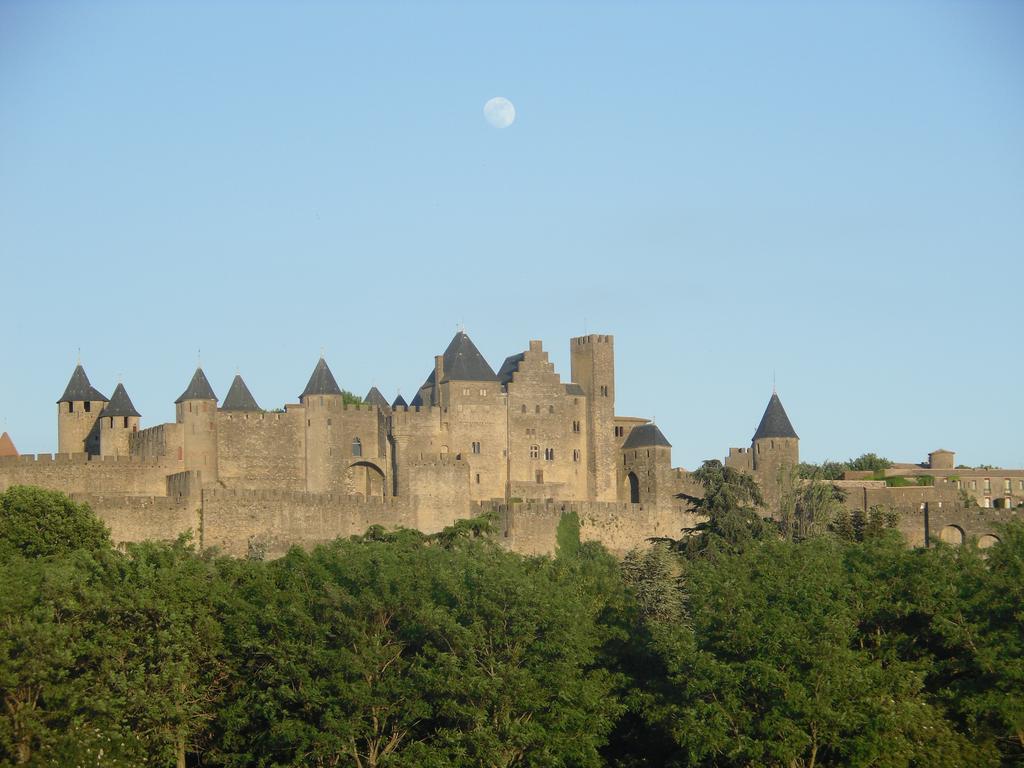 Carcassonne Pont Vieux Apartments Bagian luar foto